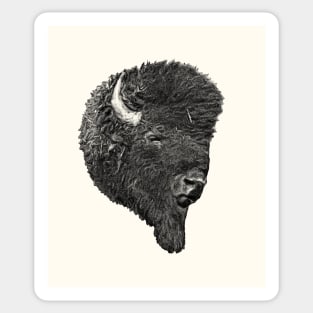 Bison head Sticker